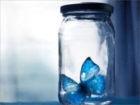 常见的五种PUA类型解析