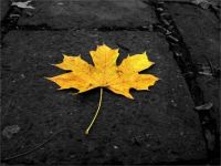 什么是PUA？如何识别情感操控